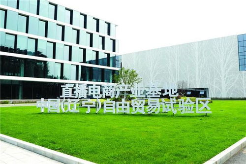 沈阳自贸片区 种苗圃 践行创新试验使命