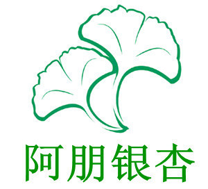 银杏树,银杏苗木,银杏产品,工厂,厂商-江苏省邳州市阿朋银杏苗圃场